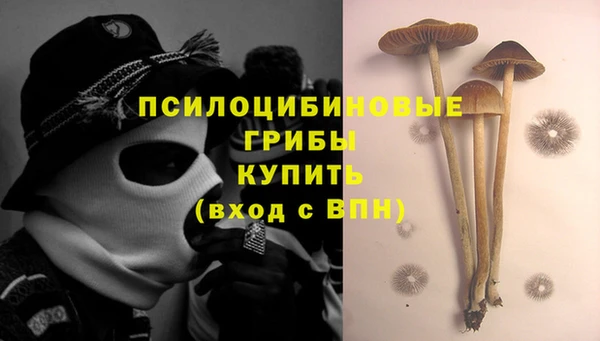 герыч Ступино