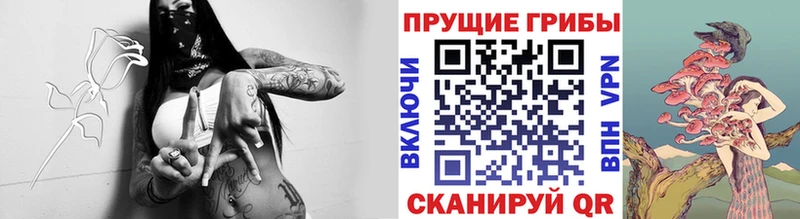 darknet клад  Вязники  Галлюциногенные грибы мицелий  что такое наркотик 