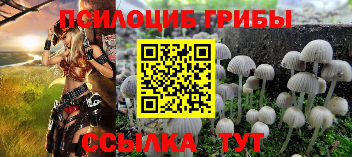 Псилоцибиновые грибы мицелий Вязники