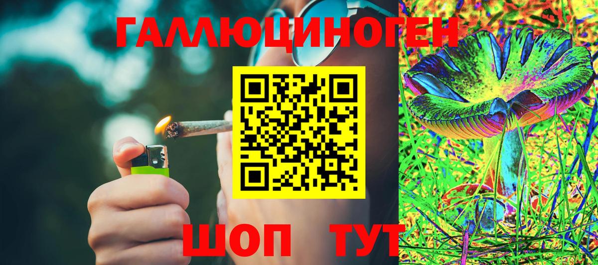 Псилоцибиновые грибы Psilocybine cubensis  Вход с VPN  Вязники 