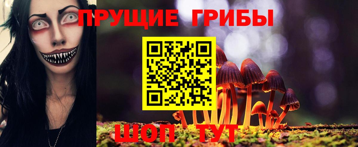 Псилоцибиновые грибы Cubensis  закладка  Вязники  Галлюциногенные грибы мицелий 